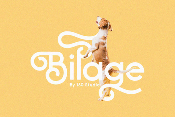 Bilage: A Handwritten Font That Elevates Creativity and Communication